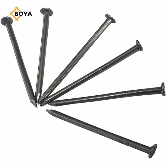 Polished Common Iron Wire Nail for Building and Construction Made in China