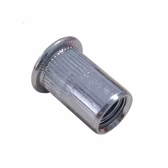 Flat Head Round Body Rivet Nut with Blind Rivet