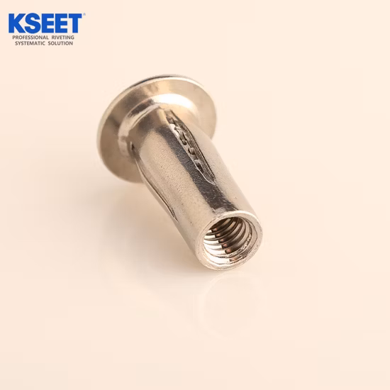 Large Head, Flat Head Rivet Nuts, Reduce Head. Thin Head Rivet Nuts, Small Csk Head, Csk Head Rivet Nut Knurled Body, Full Hex Body. Blind Rivet Insert Nuts.