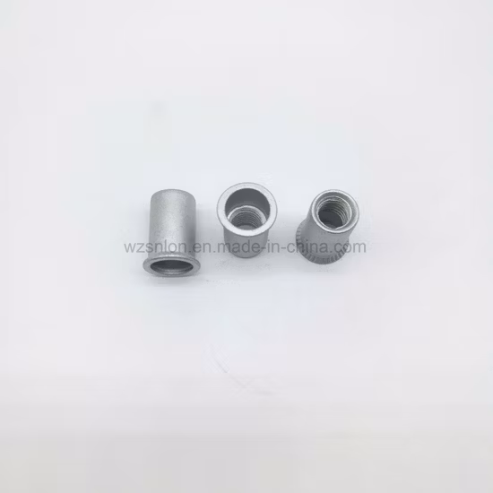 Flat Head Round Body Rivet Nut in Stock 50% off